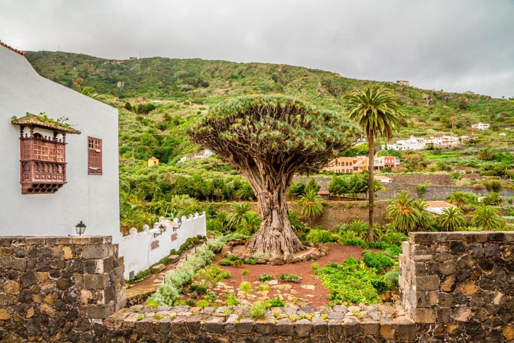Acogedor Estudio En Playa San Marcos, Icod De Los Vinos Lägenhet Exteriör bild
